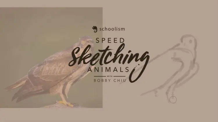 Speed Sketching Animals with Bobby Chiu