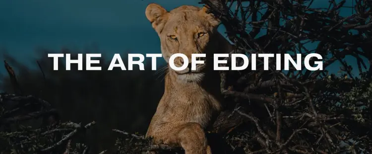 Donal Boyd The Art of Editing