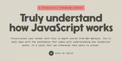 JavaScript for Everyone Piccalilli