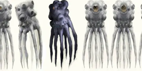 How to Design Creatures