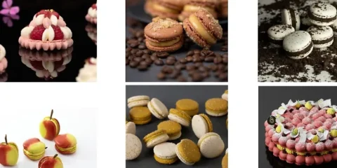 A Collection of Macarons