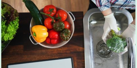 Global Food Hygiene Training Level 2