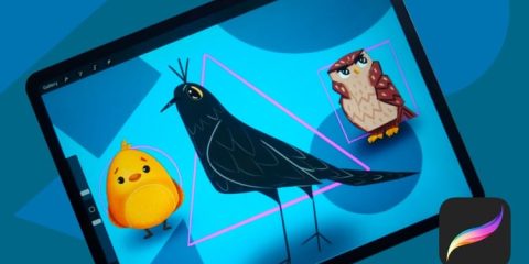 Shape Language In Illustration For Beginners In Procreate Shape Language In Illustration For Beginners In Procreate