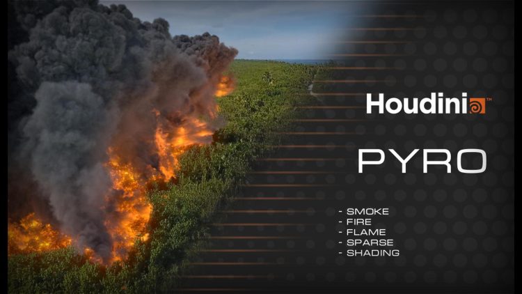 Houdini Pyro.