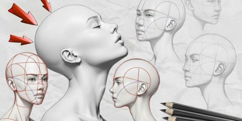 Loomis Method: Complete Face Drawing Course- Step by Step Loomis Method: Complete Face Drawing Course- Step by Step