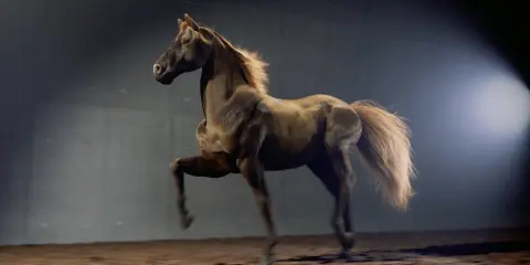 Rebelway - Creature Rigging in Houdini