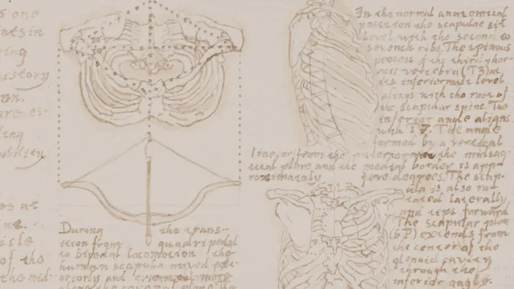 Anatomy Master Class with Joshua Jacobo