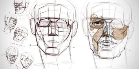Head Drawing and Construction – Michael Hampton Head Drawing and Construction - Michael Hampton