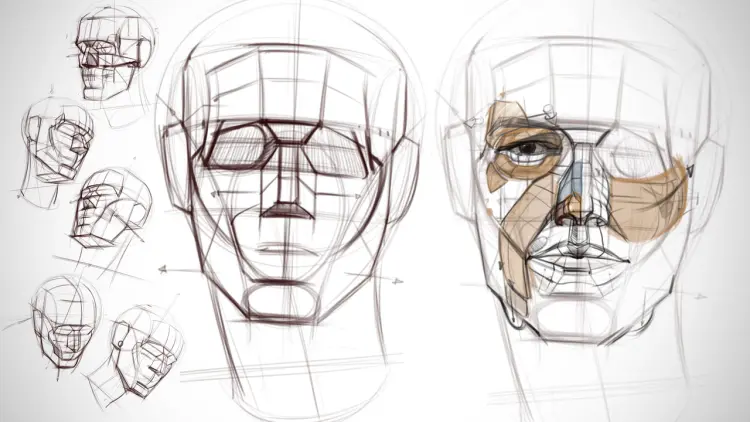 Head Drawing and Construction - Michael Hampton