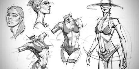 The Anatomy Survival Guide - Josh Black