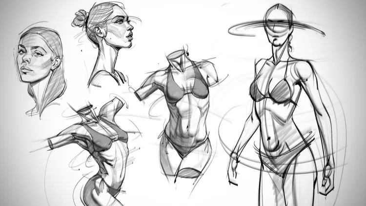 The Anatomy Survival Guide - Josh Black