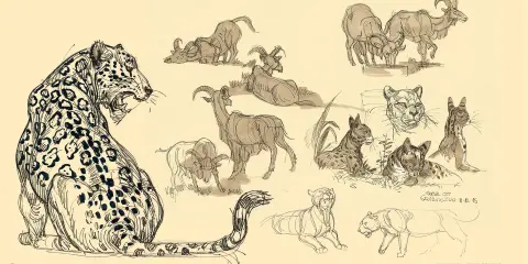 Drawing Fundamentals Drawing Fundamentals