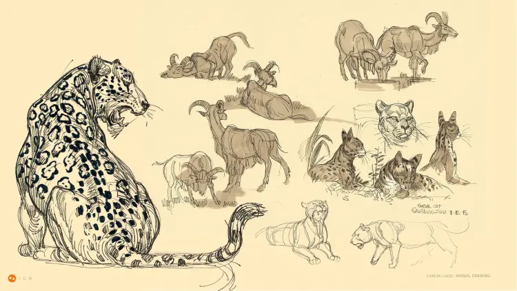 Drawing Fundamentals