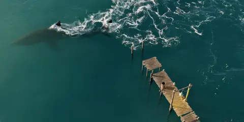 Introduction to Houdini: Fluids