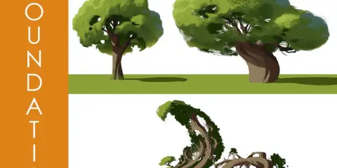 Foundation Patreon - Vis Com: Trees with Jay Lee