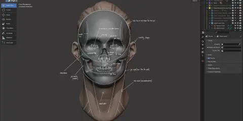 Master Sculpting Heads - 3D Blender Course