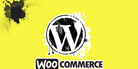 WordPress/WooCommerce plugin development
