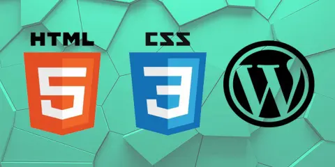 Web Design Course for Beginners to Intermediate Web Design Course for Beginners to Intermediate