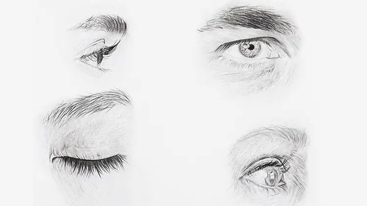 Portrait Drawing Course: Learn to Draw Eyes, Nose and Mouth