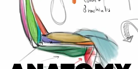 Ramon Hurtado: Anatomy of the Arms and Legs Videos Ramon Hurtado: Anatomy of the Arms and Legs Videos